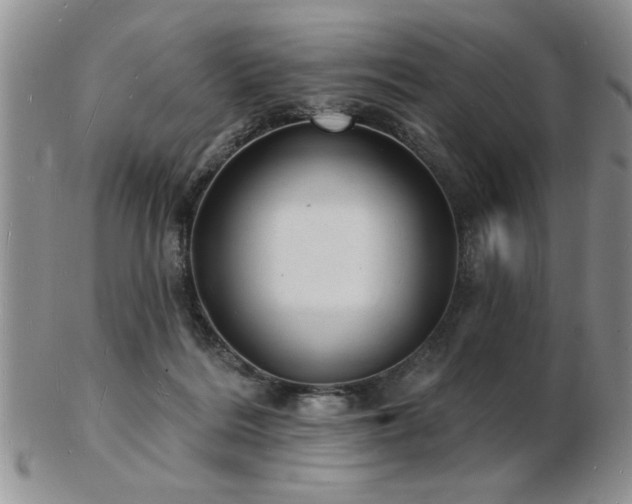 X0000103240220200808281448