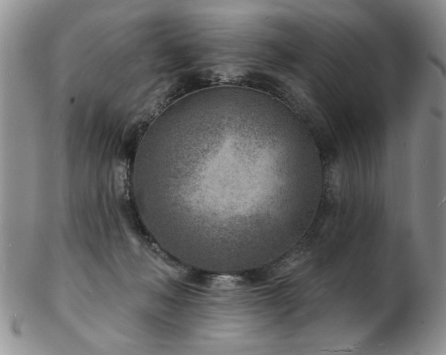 X0000103240222200808281448
