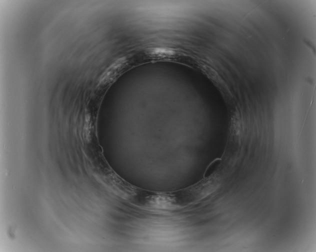 X0000103240223200808281448