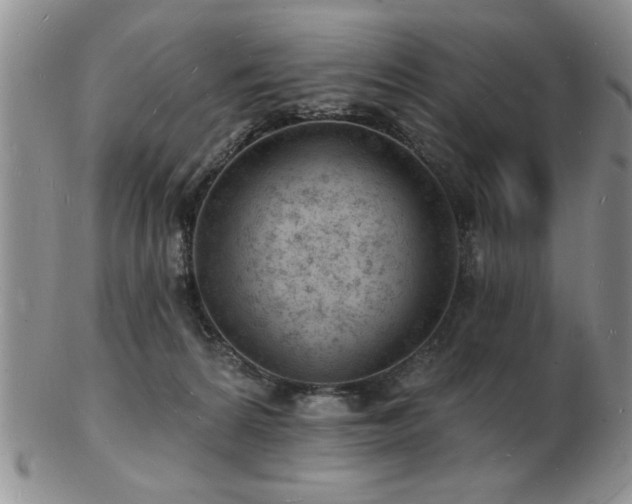 X0000103240224200808281448