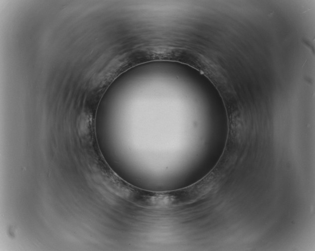 X0000103240225200808281448