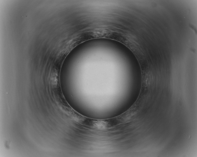 X0000103240226200808281448