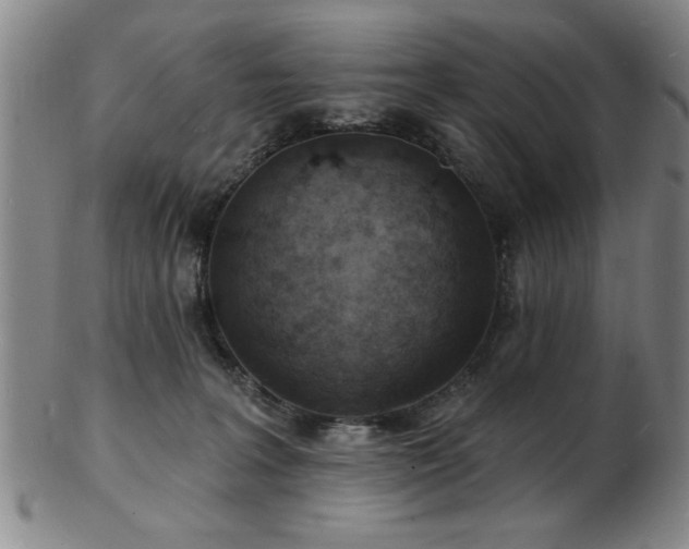 X0000103240227200808281448