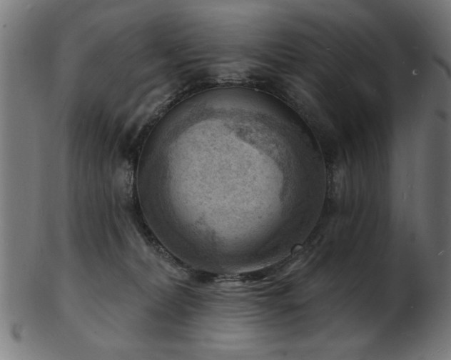 X0000103240228200808281448