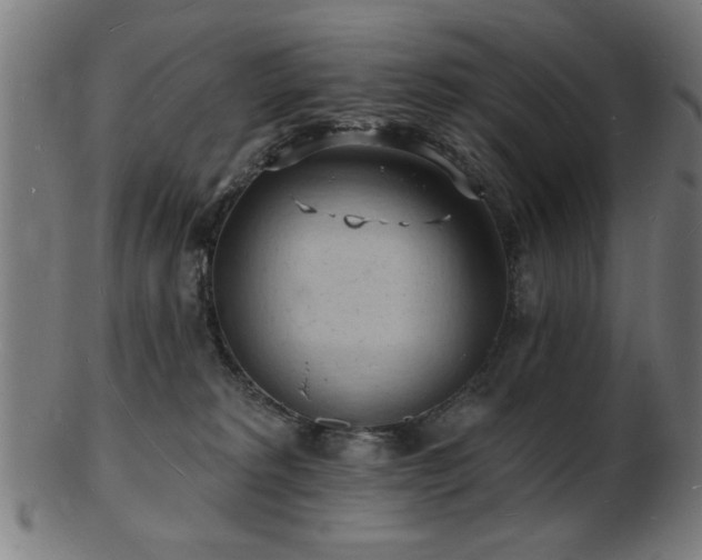 X0000103240229200808281448