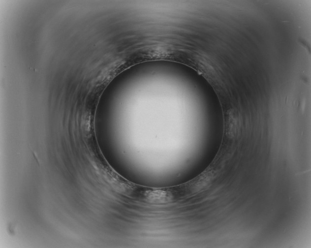 X0000103240230200808281448