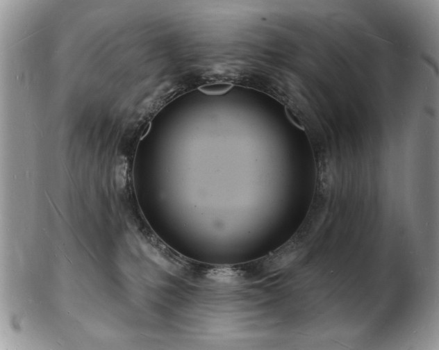 X0000103240231200808281448