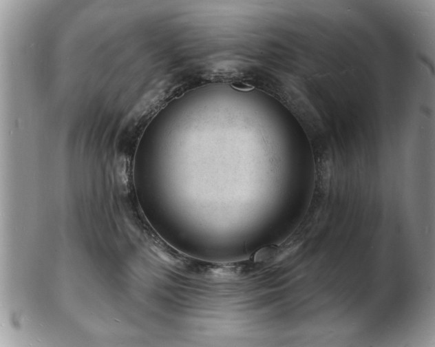 X0000103240232200808281448