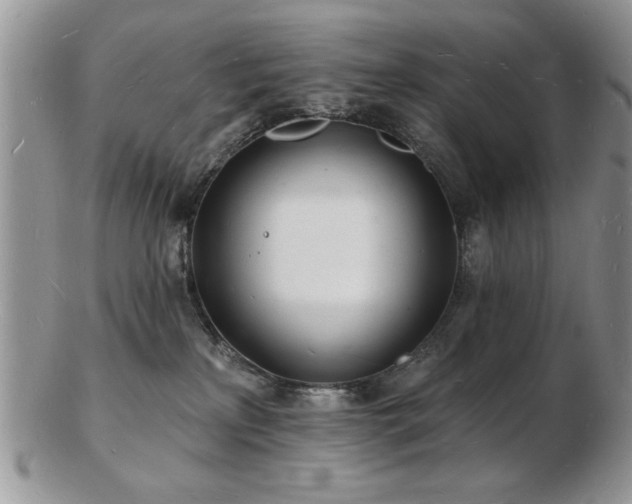 X0000103240233200808281448