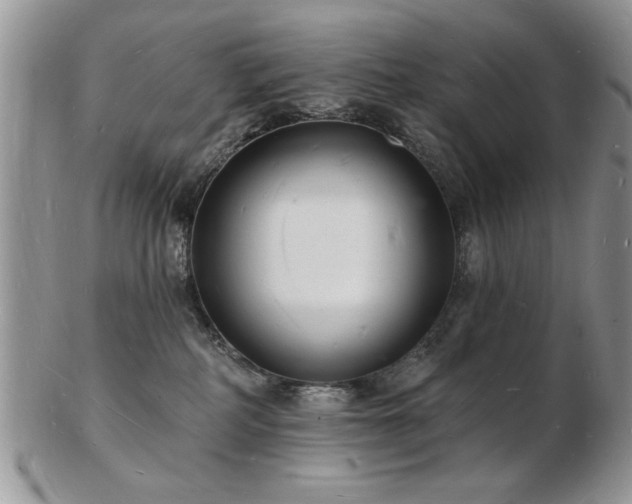 X0000103240234200808281448