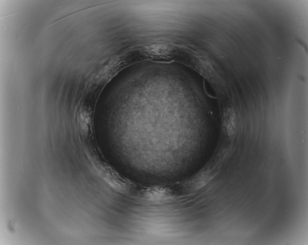 X0000103240235200808281448