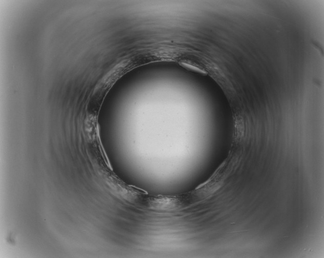 X0000103240237200808281448