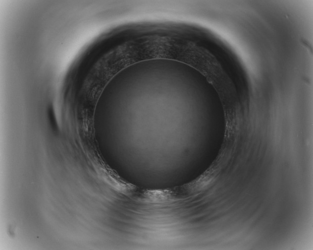 X0000103240239200808281448