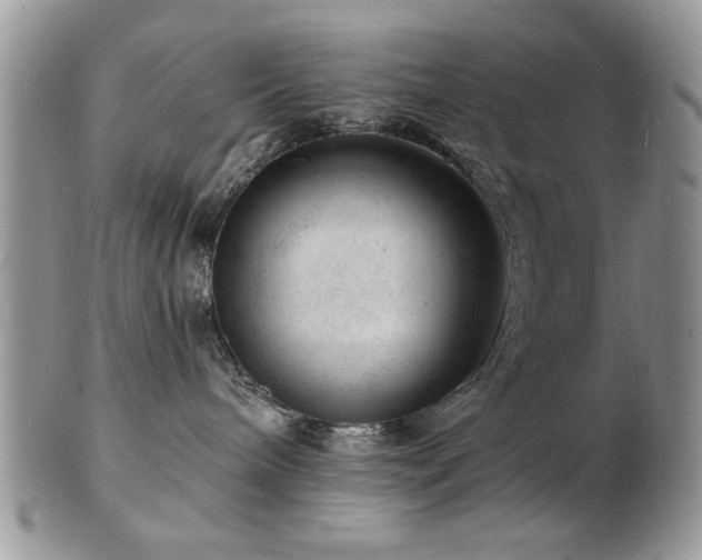 X0000103240240200808281448