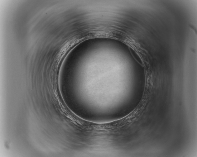 X0000103240241200808281447