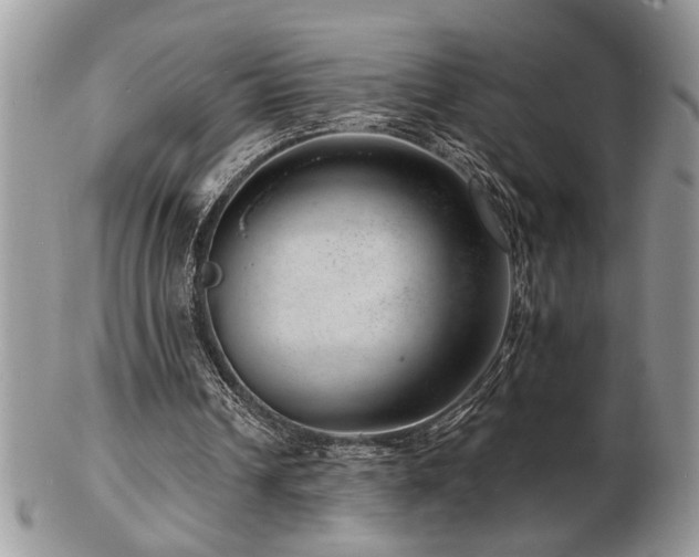 X0000103240242200808281447