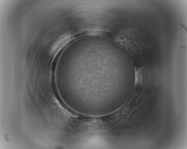 X0000103240243200808281447