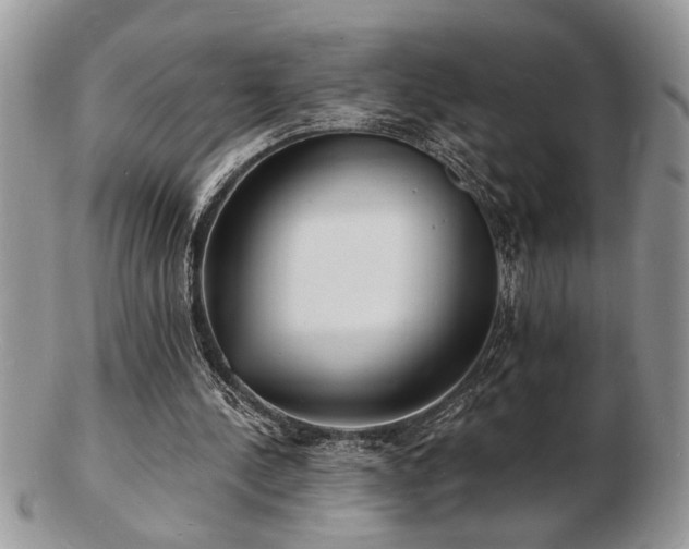 X0000103240244200808281447