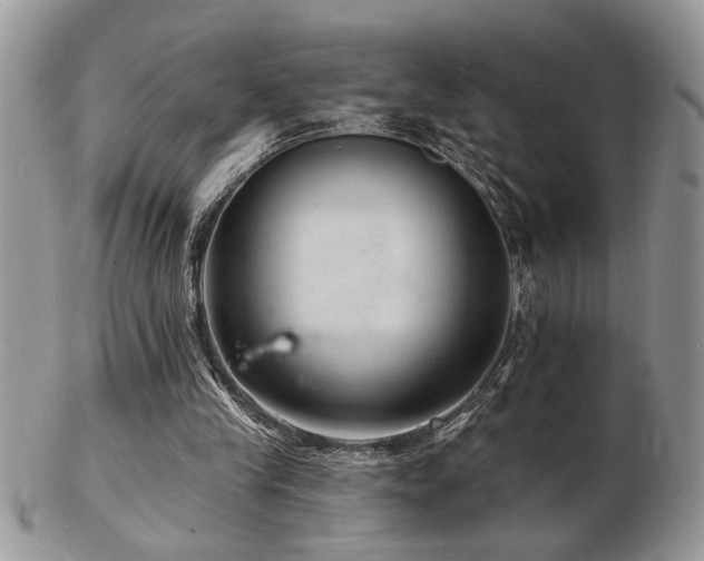 X0000103240245200808281447