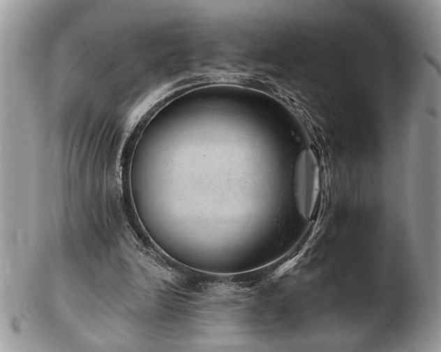 X0000103240246200808281447