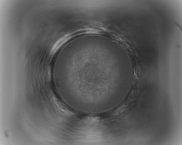 X0000103240247200808281447