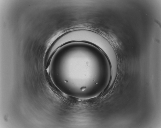 X0000103240248200808281447