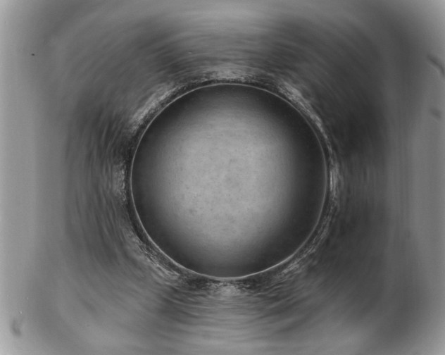 X0000103240249200808281447
