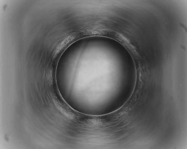 X0000103240250200808281447