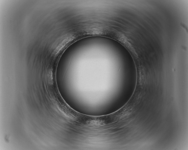 X0000103240251200808281447