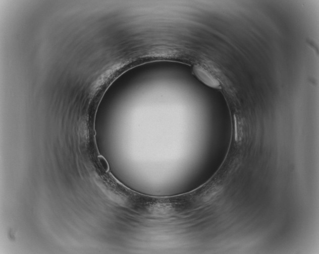 X0000103240252200808281447