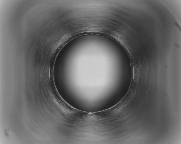 X0000103240253200808281447