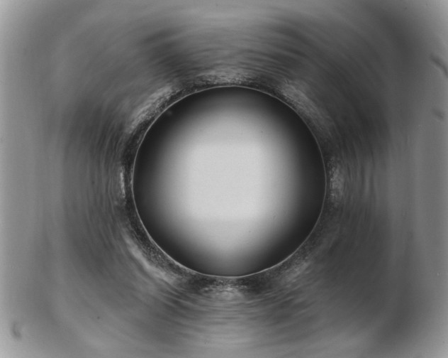 X0000103240254200808281447