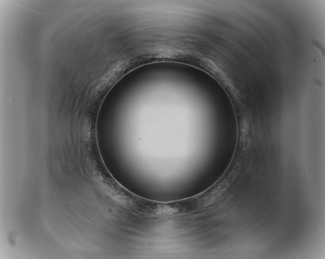 X0000103240257200808281447