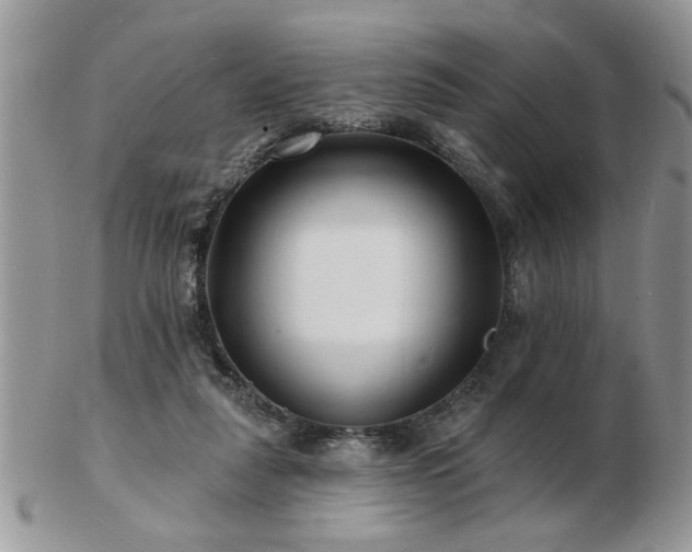 X0000103240259200808281447
