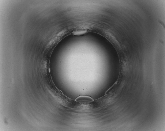 X0000103240260200808281447