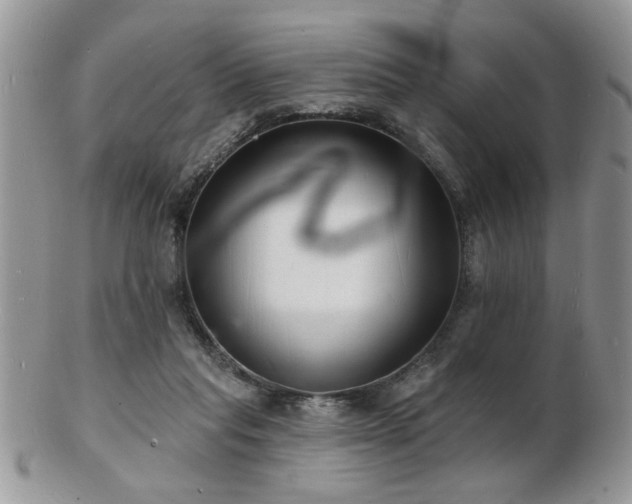 X0000103240261200808281447