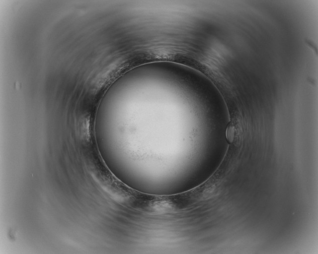 X0000103240262200808281447