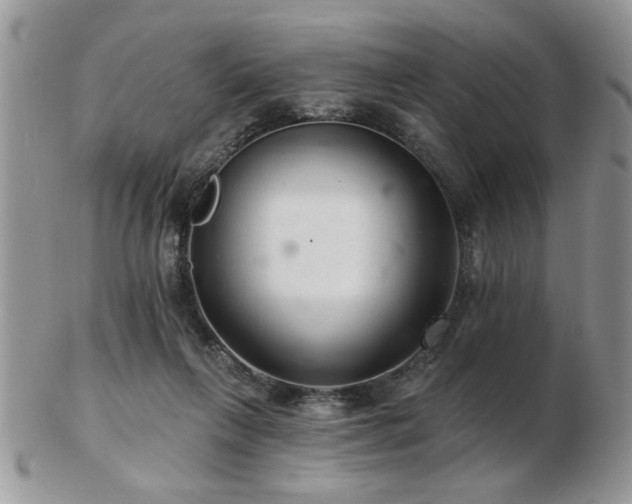 X0000103240263200808281447