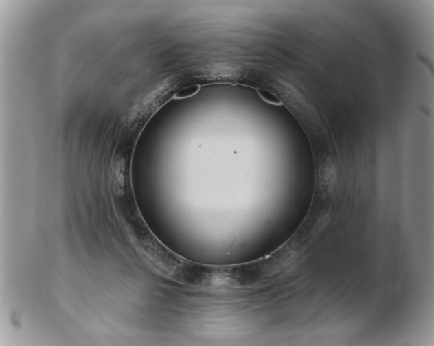 X0000103240264200808281447