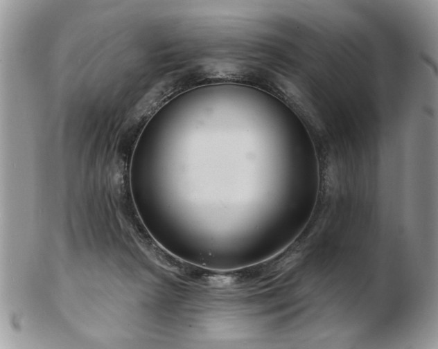X0000103240265200808281447