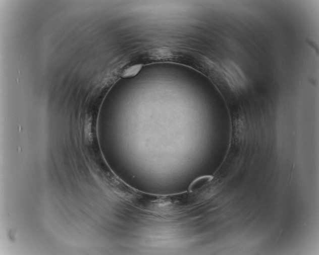 X0000103240267200808281447