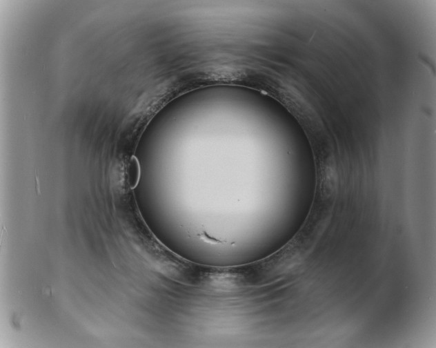 X0000103240268200808281447