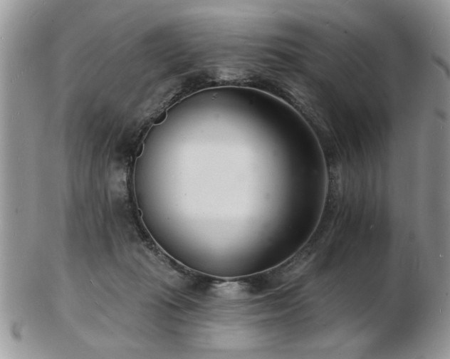 X0000103240269200808281447