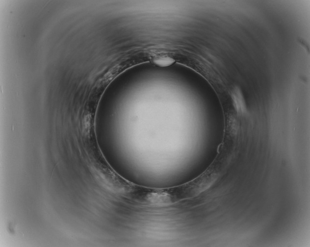 X0000103240271200808281447
