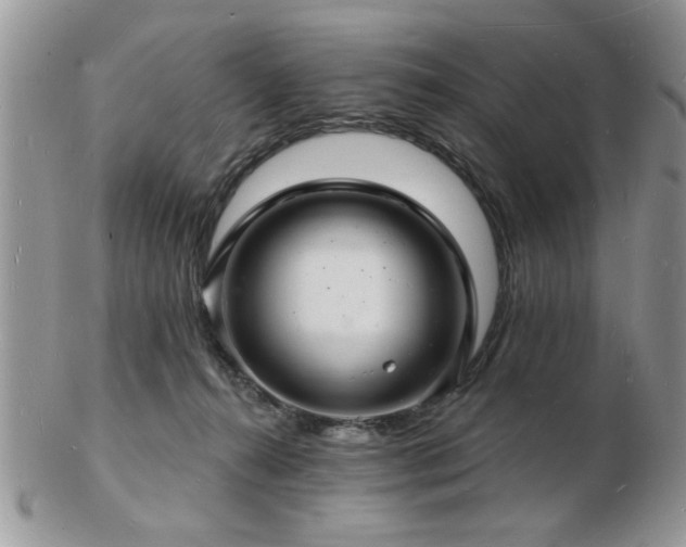 X0000103240272200808281448