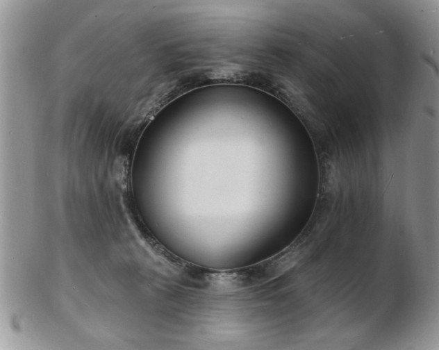 X0000103240273200808281448
