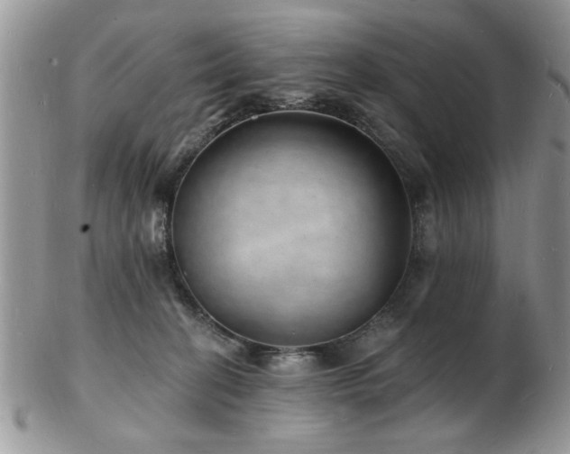 X0000103240274200808281448