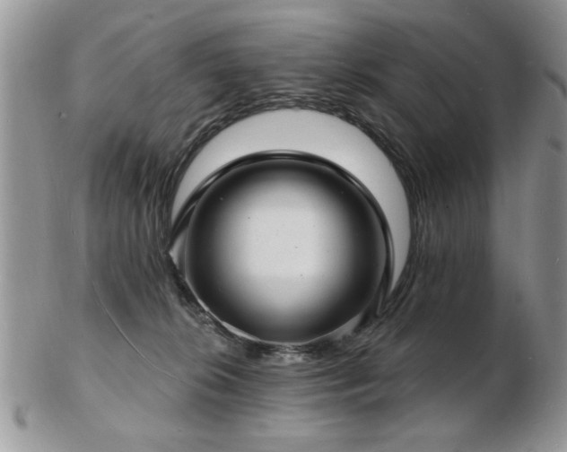 X0000103240276200808281448