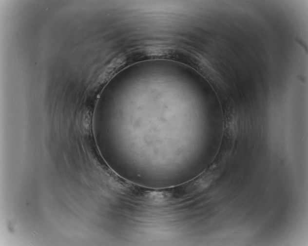 X0000103240277200808281448