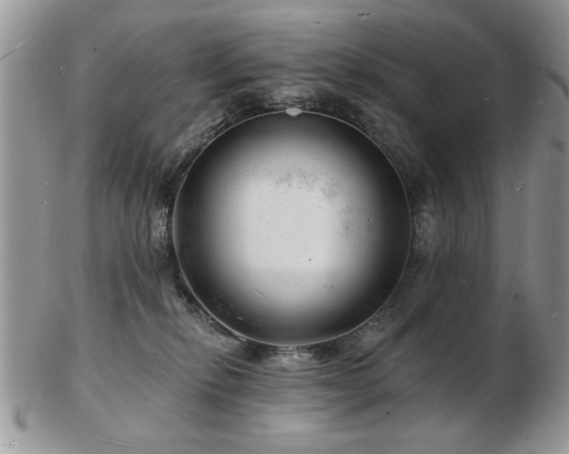 X0000103240278200808281448